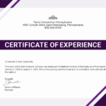 EXPERIENCE CERTIFICATE FORMAT IN WORD